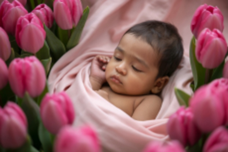 Test Tube Baby Center in Palanpur