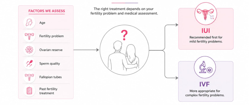 Fertility treatment choices