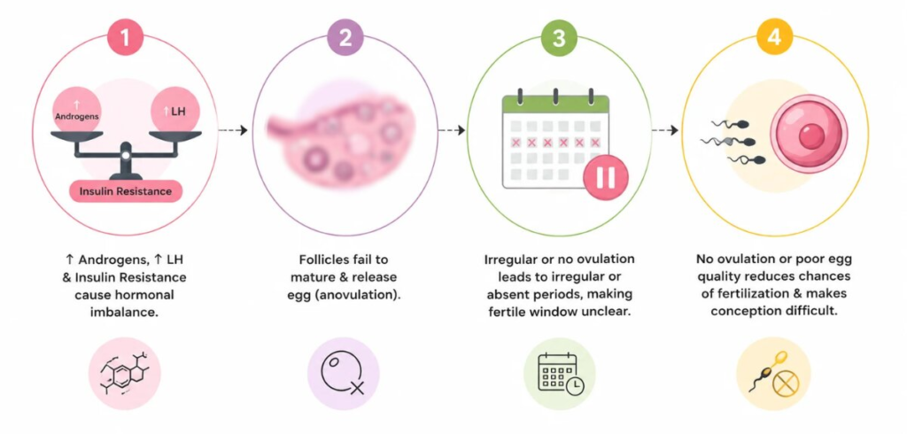 How Does PMOS Cause Infertility